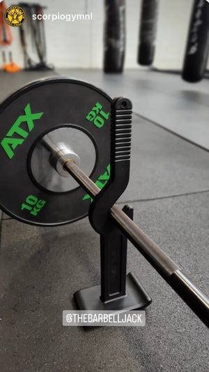 Back Barbell Exercises